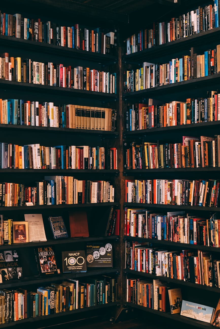 Organized bookstore shelves